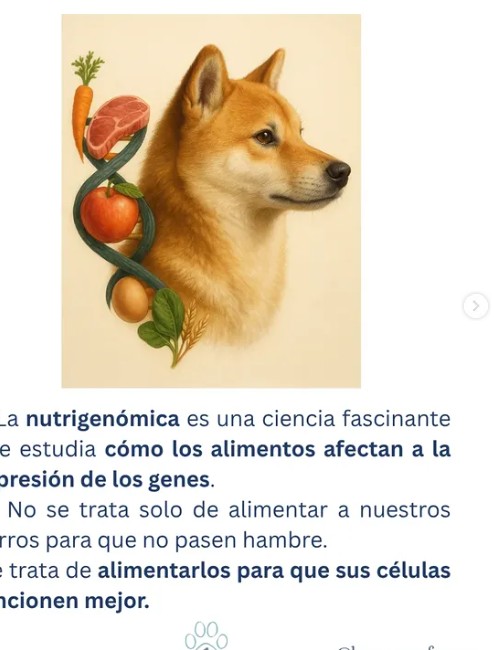Ilustración sobre nutrigenómica canina